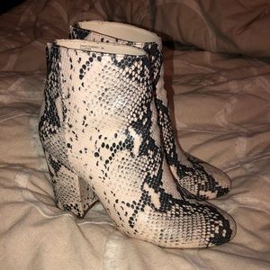 Steve Madden Snakeskin Booties